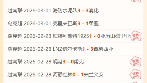 德甲赛后勒沃库森CEO被指辱骂裁判，德国足协展开调查