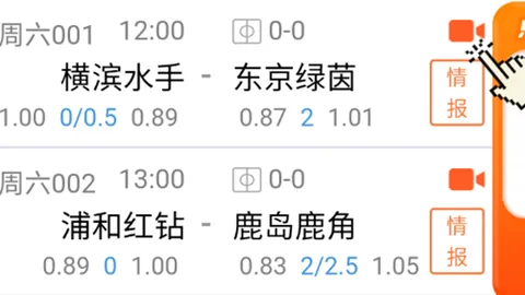 大乐透期号专家推荐：明尼苏达客场抢分策略分析